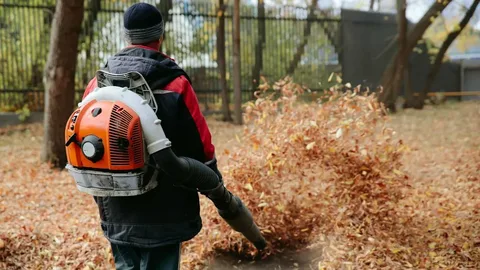 Top 10 Backpack Leaf Blowers for Powerful Yard Cleanup in 2025