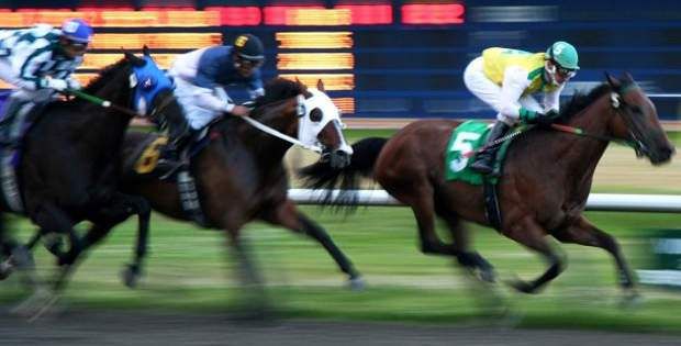 The Ultimate Guide to the Best Horse Racing Betting Sites for Real Money